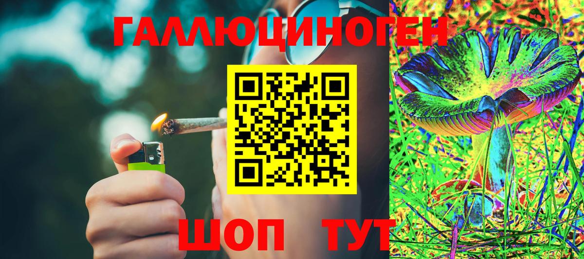Галлюциногенные грибы прущие грибы Верхний Уфалей